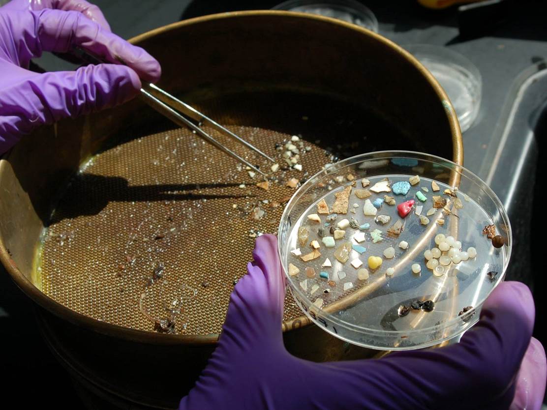 playzone gcash register